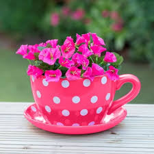 Giant Teacup Saucer Planter Pink Garden Planters B M Tea Cup Planter Fun Planters Pink Polka Dots