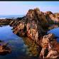 (PLA) Crystal Cove Tide Pool Exploration event image