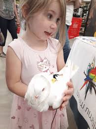 Steve and I are at the Grange Co-Op, educating people about birds. Of  course, pigeons are well-represented. Look at all these smiles!  #northwestbirdclub #pigeons #jacksonvilleoregon #jacksonvilleoregongroup  #lovepigeons #pigeonsaspets