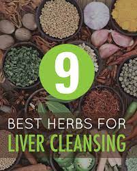 The Liver Is The Primary Organ Responsible For Expelling And Breaking Down Toxins Entering The Body In Particular It Cleanse Your Liver Organic Health Health