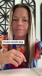 #creatorsearchinsights double doodle dog. Please please please get your dog  from an established breeder who is doing their part to set you up for  success! Doodles and double doodles have different ...