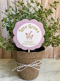 8 Bridal Shower Favors Love Grows Love In Bloom Flower Plant Favors Personalized Flower Pot Favors Potted Favors Floral Bridal Shower Rustic Bridal Shower Favors
