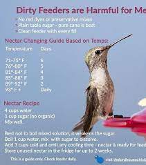 Pin By Dawn Abrahams On Misc Info Humming Bird Feeders Nectar Recipe Hummingbird Food