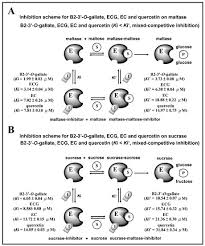 Enzymes are made from amino acids, and they are proteins. Foods Free Full Text Characterization Of Maltase And Sucrase Inhibitory Constituents From Rhodiola Crenulata Html