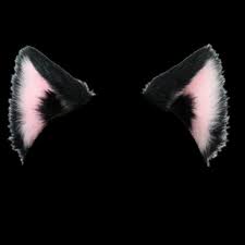 Catboy Ears Imagens Para Photoshop Imagem De Fundo Para Iphone Orelha