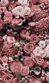 40 Desktop Wallpapers Background Image Dailypinmag Trendy Flowers Flower Aesthetic Pink Flowers