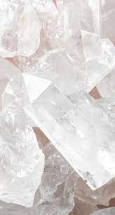 51 Ideoita Kasvit Taustakuva Iphone Valkoinen Suunnitelmia Ideas Iphone Plants 51 Plant Wallpaper White Aesthetic Trendy Wallpaper