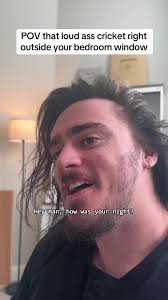 Loud Cricket Outside Your Bedroom