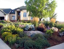 How to xeriscape a yard. 20 Xeriscape Front Yard Ideas Magzhouse