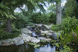 Check spelling or type a new query. How To Aerate A Garden Pond And Role Of A Pond Pump
