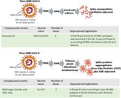 The vaccines currently used in australia have been rigorously tested for safety and are highly effective. Covid 19 Vaccines Where We Stand And Challenges Ahead Cell Death Differentiation