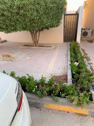 The squirrels are smart enough to know this as well, and they tend to steer clear of homes near raptor nests or with outside cats. Cat Issues How Do I Keep Cats Out Of My Planter Qatar