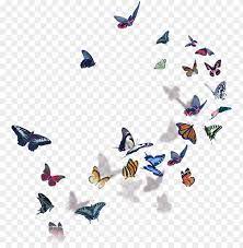 Over 220 categories of clipart. Butterflies Halsey Halsey World Tour 2018 Png Image With Transparent Background Toppng