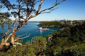 For day time guests we ask you to park in the clifton garden's car park or on chowder. Chowder Bay To Balmoral Beach Walk