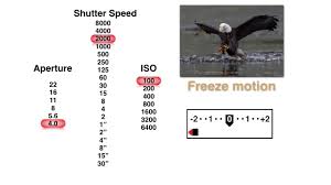 Exposure Basics How To Choose Iso Aperture And Shutter