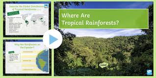 These plants can be common or rare within their environment, but they are all found within the tropical rainforests. Where Are Tropical Rainforests Powerpoint Teacher Made