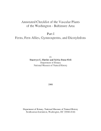 Image result for Buchnera longispicata