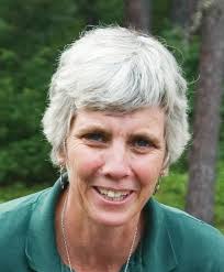 CNH Annual Report 2015 color.indd