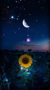 Encontraras hermosos paisajes nocturnos para poder usarlo como fondos de pantalla o como. 67 Ideas De Paisajes De Noche Paisajes De Noche Paisajes Luna Hermosa