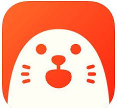 Video calling is pretty easy now. 20 Best Random Video Chat Apps Android Iphone 2021