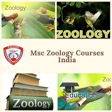 As Per The Rising Need Of Zoology Experts In Industries The Demand In Msc Zoology Courses India Is Climbed On The High Le Zoology Msc Evolutionary Biology