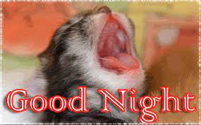 We scoured high and low, near and far, east and west, and to every dusty corner of the interwebs, and we came up with what we think is a meowrific series of cat memes and humor. Good Night Good Night Gif Good Night Funny Good Night Greetings