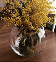Zerafetin Masumeyetin Ve Kirilganligin Timsali Mimoza Eee Kokusumu Table Decorations Decor Home Decor