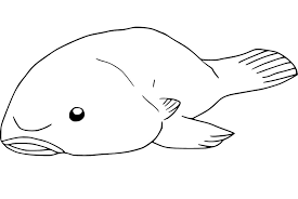 School's out for summer, so keep kids of all ages busy with summer coloring sheets. Funny Blobfish Coloring Page Free Printable Coloring Pages For Kids