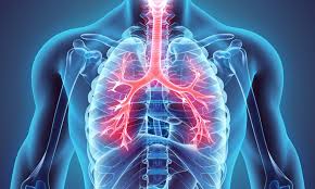 Depending on which lung is affected, lung disease can cause pain under the right or left rib cage. October Is Healthy Lung Month Morristown Hamblen Healthcare System