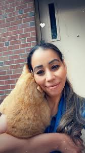 Found Cat at Sedgwick Playing Fields in West Hartford CT