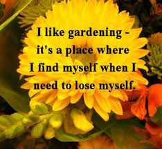Inspirational Flower Quotes Motivational Sayings With Photos Of Flowers Garden Quotes Garden Quotes Signs Flower Quotes