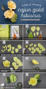 They are quite easy to make with a little bit of crepe and … just pick bright pinks, oranges and green crepe papers gather. Learn How To Make A Pretty Tissue Paper Cajun Hibiscus Flower Paper Flowers Diy Paper Flowers Paper Flower Tutorial