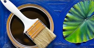 Image result for Medium Walnut 1990 Tracer