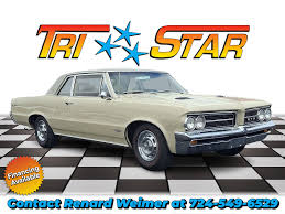 Image result for Beige 1964 Fleet