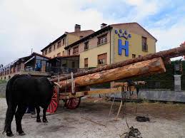 Arrancan las iii jornadas gastronómicas de la vaca serrana negra. Ii Jornadas Gastronomicas De La Raza Serrana Negra