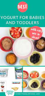 Best Yogurt For Babies And Toddlers How To Flavor Plain Yogurt Recipe Plain Yogurt Recipes Healthy Yogurt Baby Food Recipes