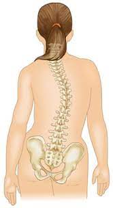 https endoscopiacolumna com ar d8 ac d9 86 d9 81 d8 a7 d9 84 d9 85 d8 b1 d8 a7 d9 87 d9 82 d9 8a d9 86