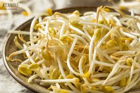 This site contains affiliate links from which we receive a compensation (like amazon for example). How To Grow Bean Sprouts At Home For Pennies In Just A Week