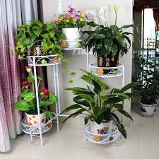 Ada juga tanaman bunga yang ditanam dalam pot. Gambar Bunga Hias Dalam Pot Gambar Hd Pilihan