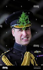 Prince william smiles hi-res stock photography and images