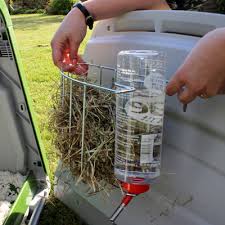 7 simple diy rabbit hay feeders you can build today (with. Rabbit Water Bottles Rabbit Food Rabbits Guide Omlet Uk