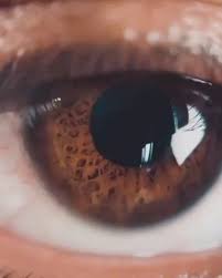 العيون البنية Video Beautiful Photography Nature Aesthetic Photography Photo Ideas Girl