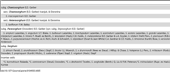 Image result for Cleistachne sorghoides