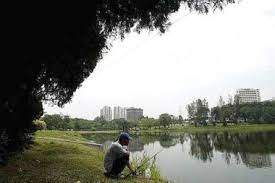 Prices for the crab that time rm. Mpsj No To Reclassify Use Of Subang Ria Park The Star