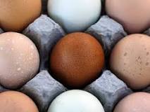 Are brown eggs better than white eggs?