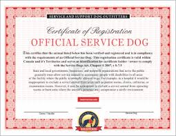 Canadian Service Dog Emotional And Therapy Service Dog Vest And Id Card Kits Service Dogs Service Dog Vests Certificate Templates