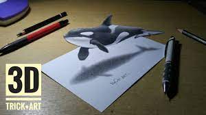 Halo sobat youtube selamat datang di channel simple drawing tutorial di video kali ini saya akan memberikan tutorial menggambar 3d ikan hiu, dan yang pasti. Easy How To Draw 3d Floating Killer Whale On Paper Cara Menggambar 3d Paus Orca Youtube