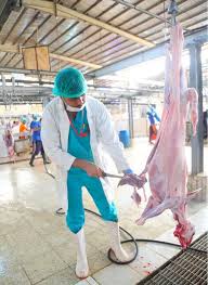 أمانة المدينة تعلن جاهزية المسالخ والسماح للمطابخ بالذبح وفقا للاشتراطات أخبار السعودية صحيفة عكاظ