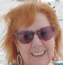 What are the plans for the former Dollar Tree property in Westfield, NY?