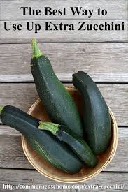 Discussion from the chowhound home cooking, zucchini food community. The Best Way To Use Up Extra Zucchini